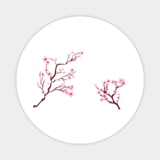 Sakura Flowers Magnet